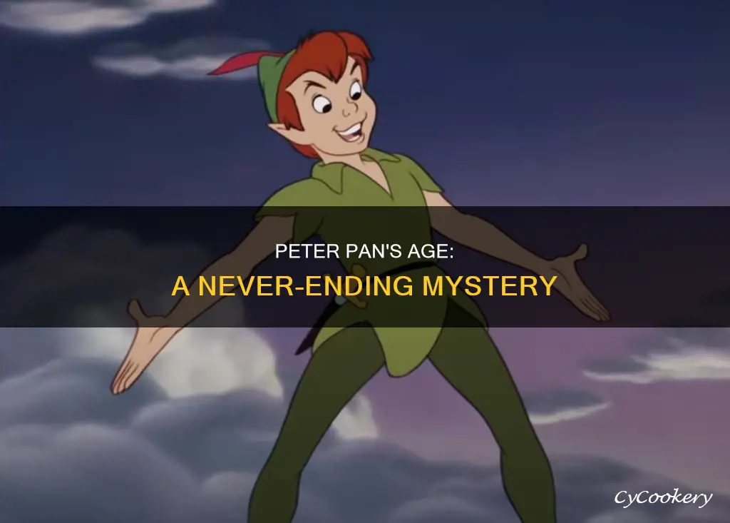 how old is perer pan