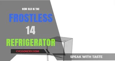 Frostless 14 Refrigerator Age: Unveiling Its Manufacturing Timeline