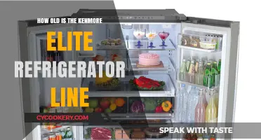 Exploring the Age and Legacy of Kenmore Elite Refrigerators