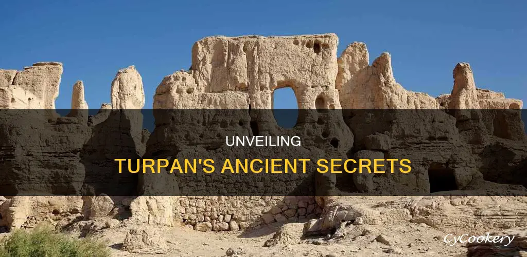 how old is turpan turpan it said turpan turn pan