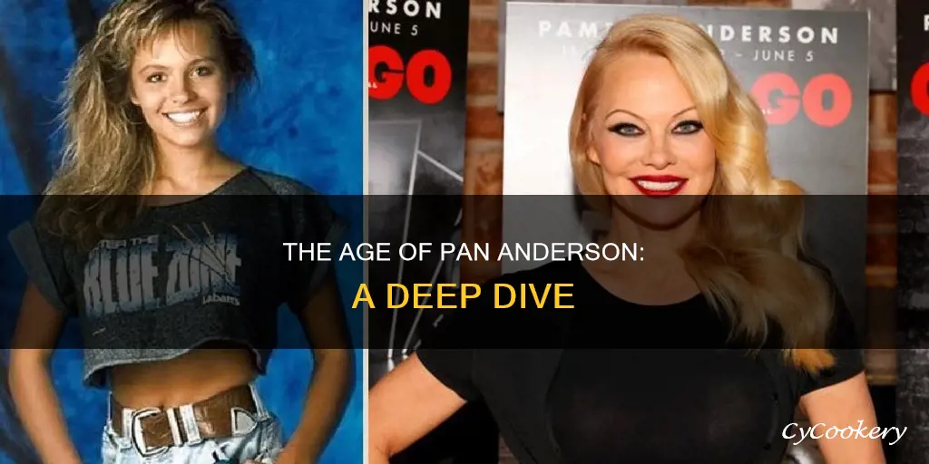 how old os pan anderson