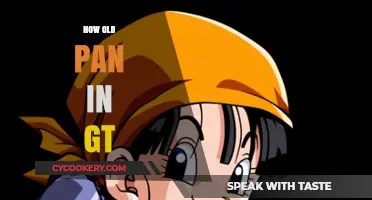 Pan's Age in GT: The Mystery Unveiled