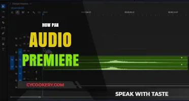 Experience Pan Audio Premiere: A New Dimension of Entertainment