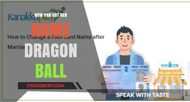 The Evolution of Pan's Name in Dragon Ball