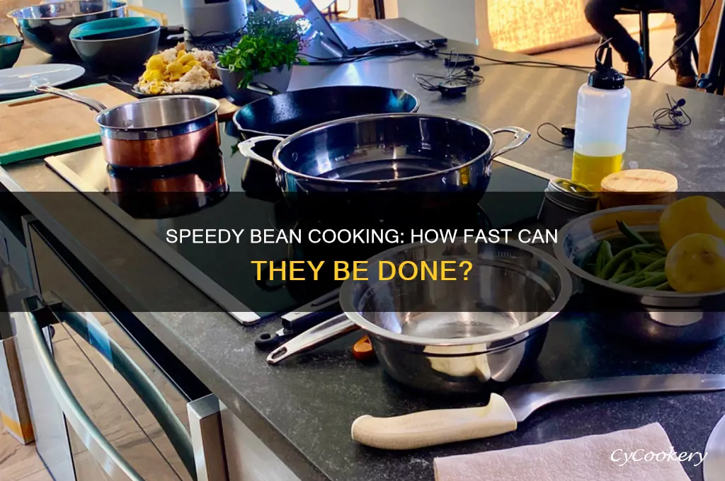 how quickly can small pot of beans cook