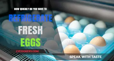Fresh Eggs: How Soon Should You Refrigerate for Optimal Quality?