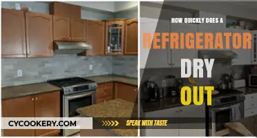 How Fast Does a Refrigerator Dry Out: Quick Insights