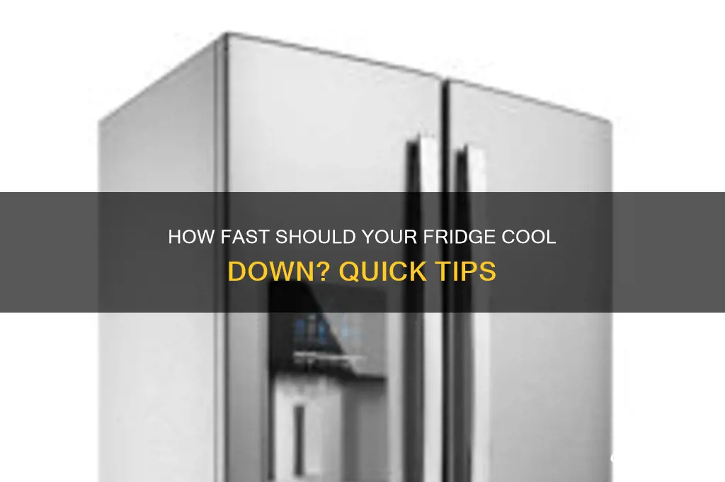 how quickly should a refrigerator cool down