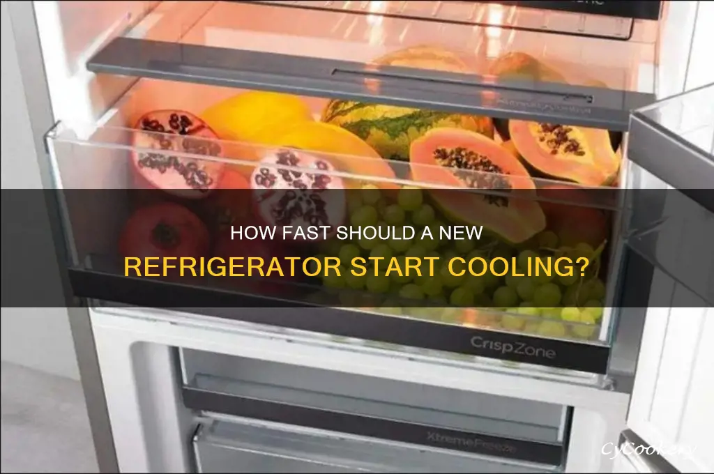 how quickly should new refrigerator take to start coolling