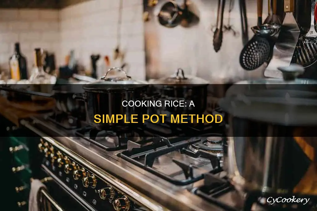 how ro cook rice in a pot