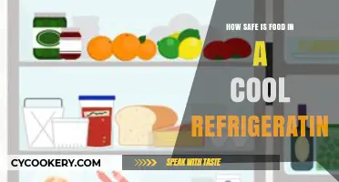 Chilling Truth: Ensuring Food Safety in Your Refrigerator