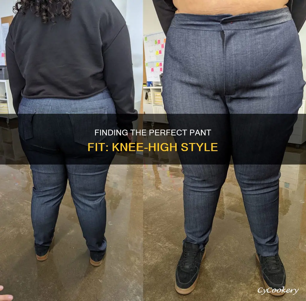 how should pan ts fit around the knee