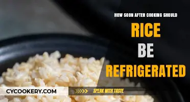 Quick Rice Refrigeration: Timing Tips to Prevent Food Spoilage