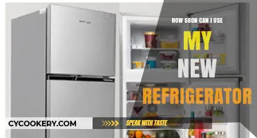 When Can You Start Using Your New Refrigerator? A Quick Guide