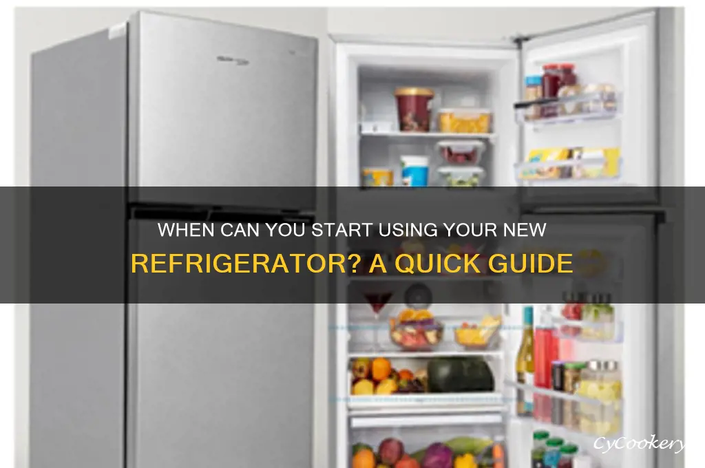 how soon can i use my new refrigerator
