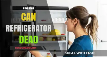 How Soon Can a Refrigerator Die? Lifespan and Warning Signs