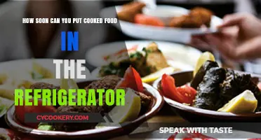 Cooling Cooked Food: Safe Refrigeration Timing Tips for Freshness
