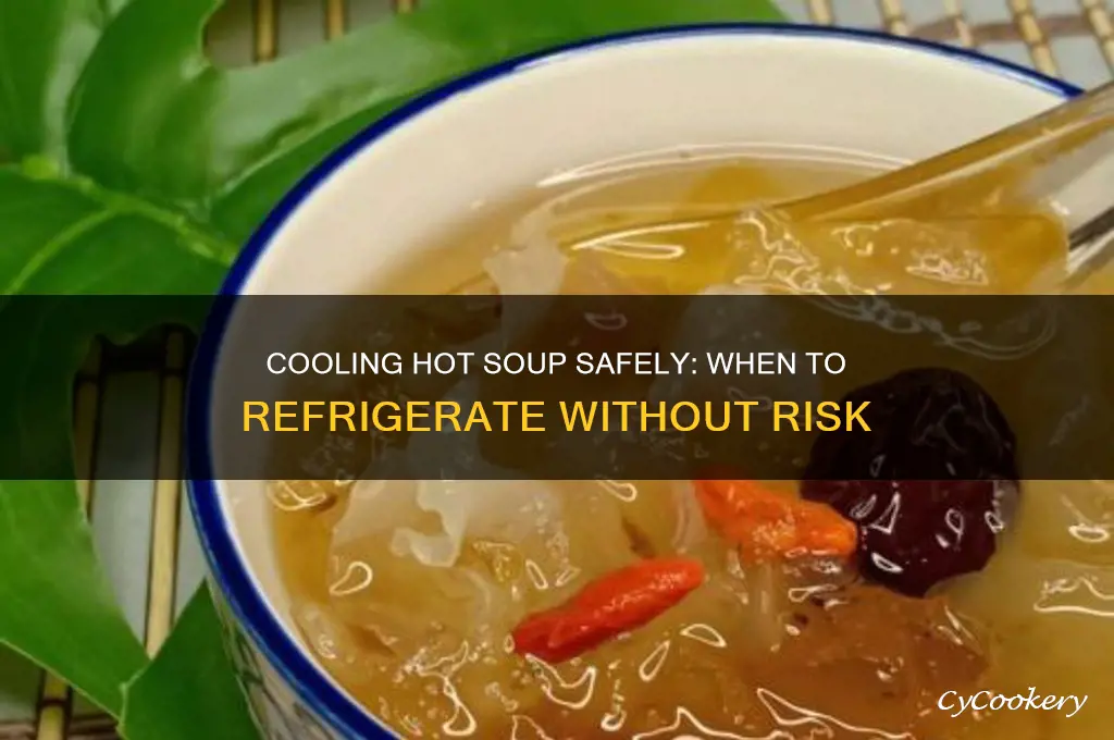 how soon can you put hot soup in the refrigerator