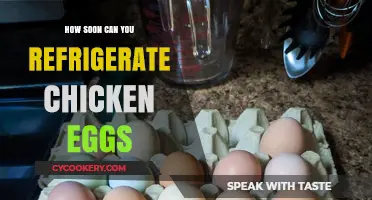 Refrigerating Chicken Eggs: Timing Tips for Freshness and Safety
