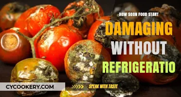 Food Spoilage Timeline: How Quickly Does Food Deteriorate Without Refrigeration?