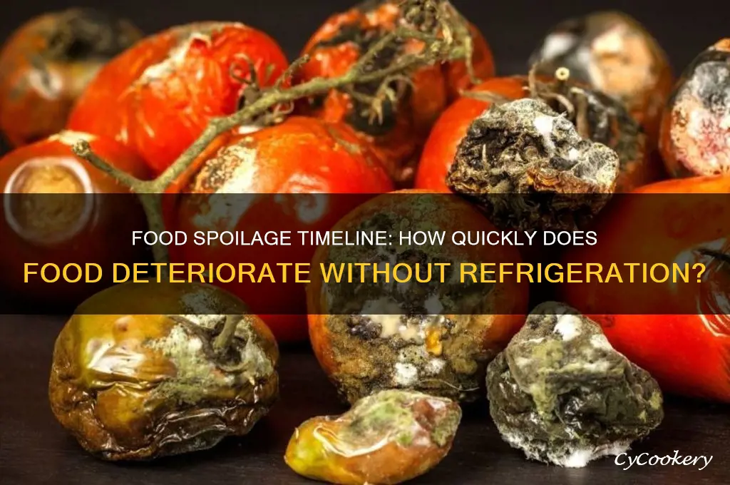 how soon food start damaging without refrigeration