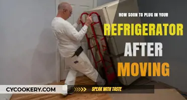 Moving Your Fridge? Here’s When to Safely Plug It Back In