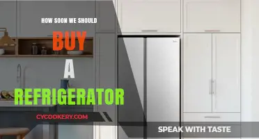 When to Buy a Refrigerator: Timing Tips for Smart Purchases