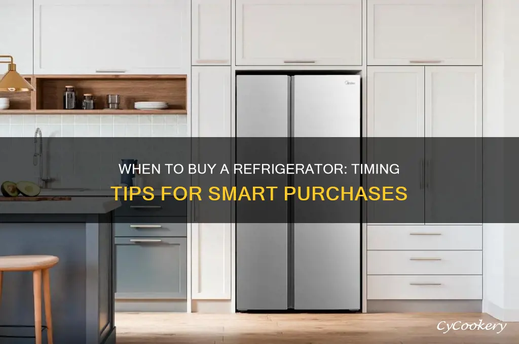how soon we should buy a refrigerator