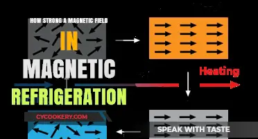 Magnetic Refrigeration: Exploring the Power of Strong Magnetic Fields