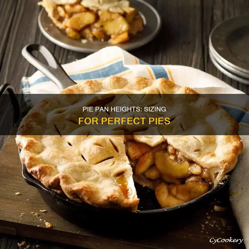 how tall are pie pans