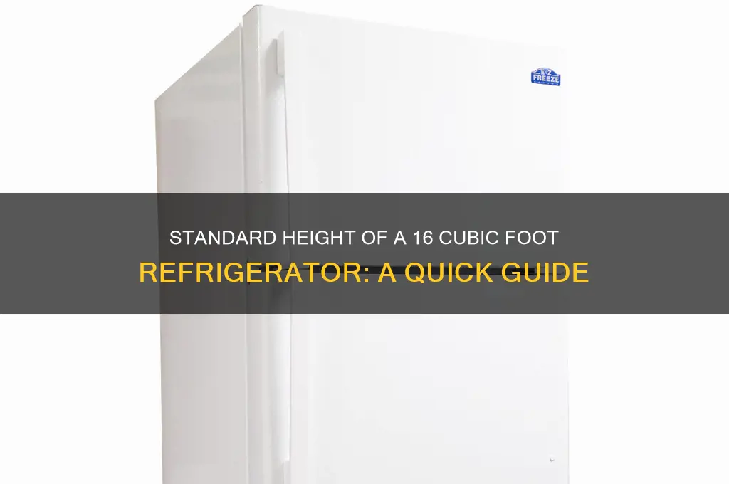 how tall is a 16 cubic foot refrigerator