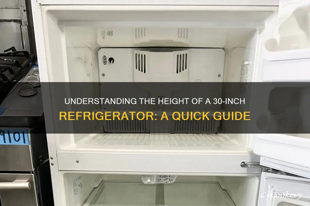 how tall is a 30 inch refrigerator