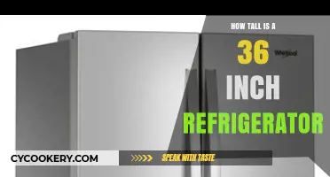 Understanding the Height of a 36-Inch Refrigerator: A Quick Guide
