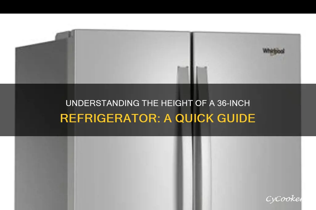 how tall is a 36 inch refrigerator