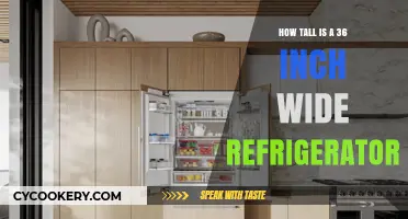 36-Inch Wide Refrigerator Height: What to Expect and Why It Matters