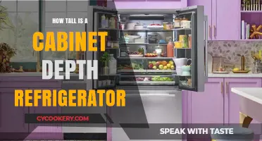 Cabinet Depth Refrigerator Height: A Comprehensive Guide to Dimensions