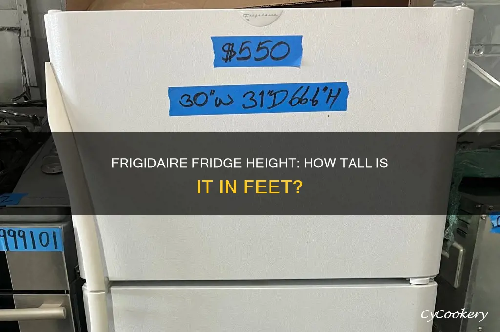 how tall is a frigidaire fridge in feet