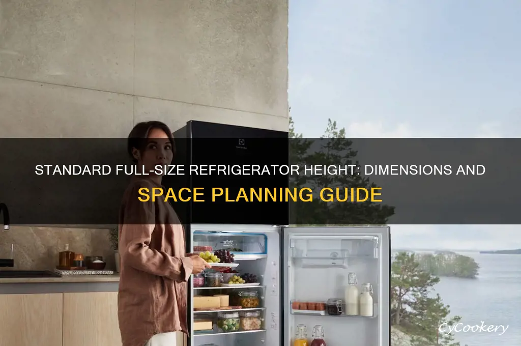 how tall is a full size refrigerator