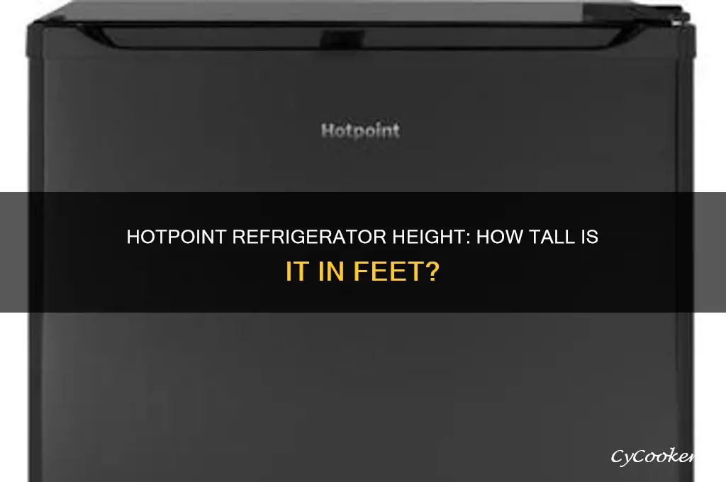 how tall is a hotpoint refrigerator in feet