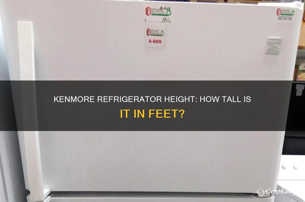 how tall is a kenmore refrigerator in feet