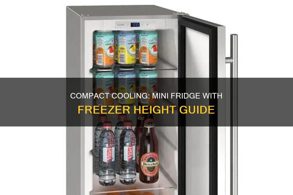 how tall is a mini refrigerator with freezer