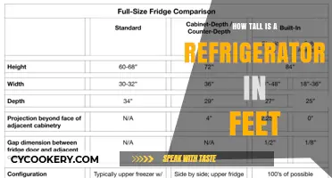 Standard Refrigerator Height: How Tall Are They in Feet?