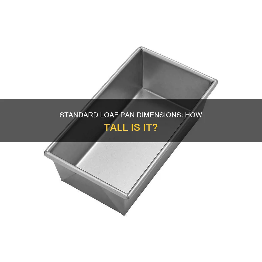 how tall is a standard 9 x 5 loaf pan