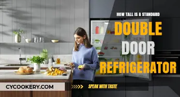 Standard Double Door Refrigerator Height: What to Expect