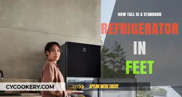 Standard Refrigerator Height: How Tall is it in Feet?