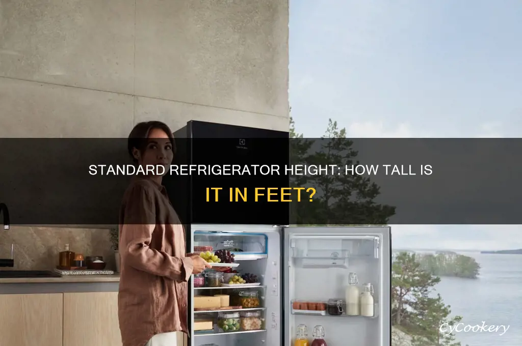 how tall is a standard refrigerator in feet