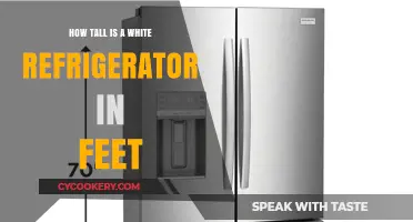 Standard White Refrigerator Height: How Tall in Feet?