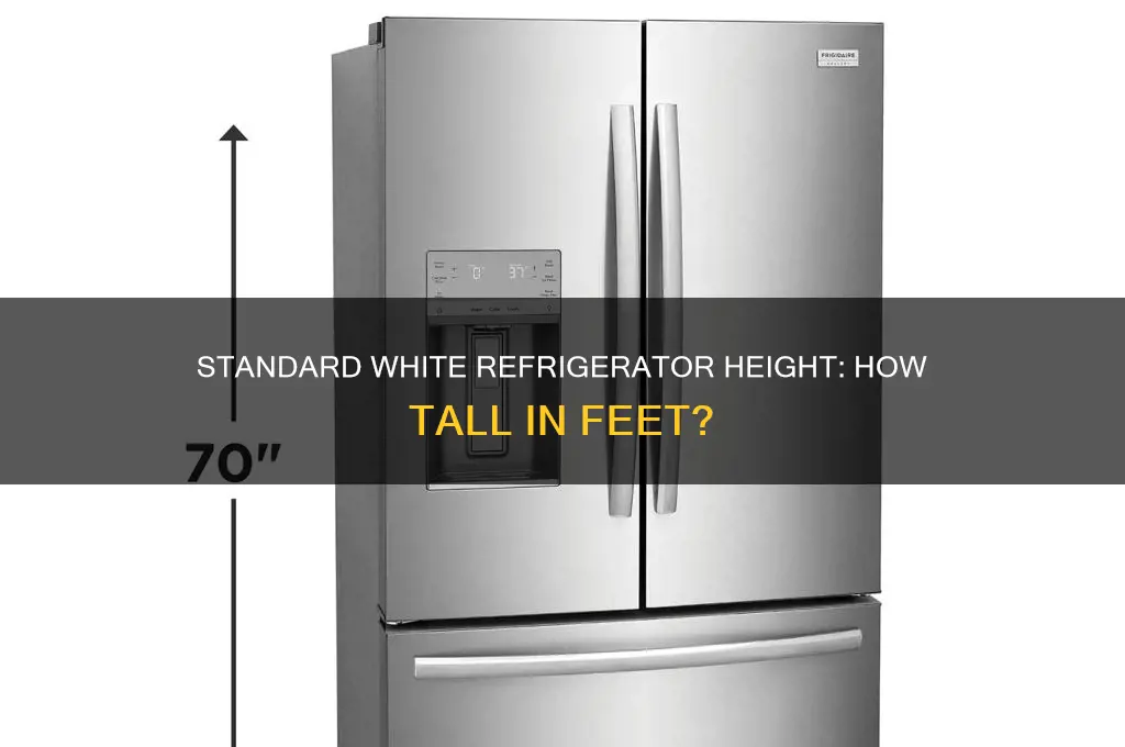 how tall is a white refrigerator in feet