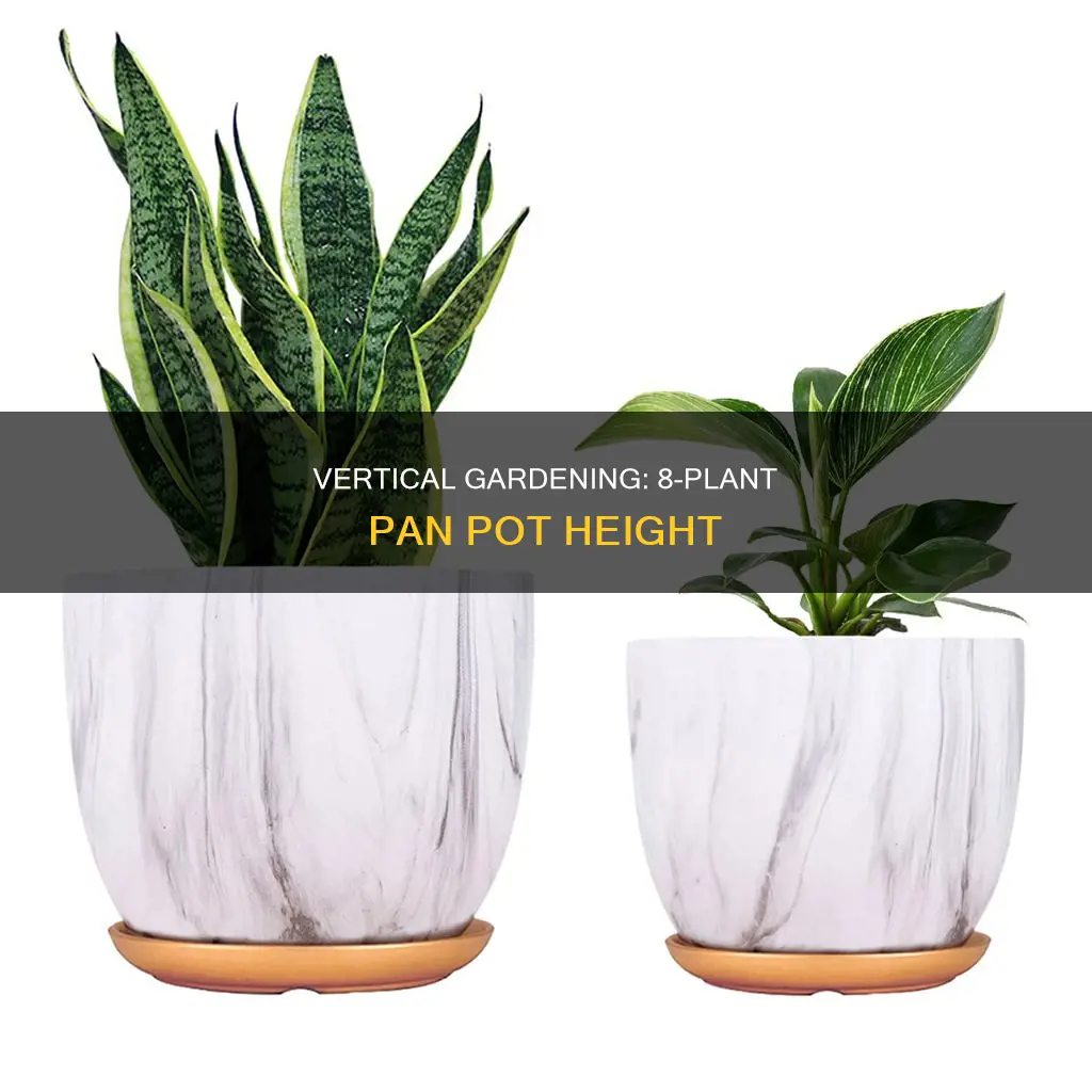 how tall is an 8 plant pan pot