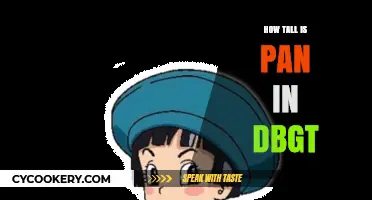 Pan's Height in DBGT: How Tall Does He Get?